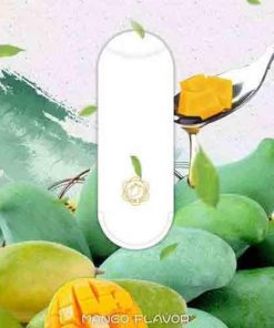 mango 1024x1024 BIN ESSA KUWAIT : مؤسسة بن عيسى