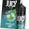 Juicy Salt Spearmint BIN ESSA KUWAIT : مؤسسة بن عيسى