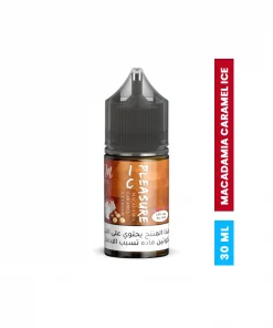 PLEASURE ICE SALT NIC