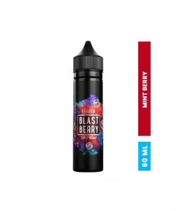 SAMS VAPE MINT BERRY