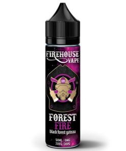 FIRE HOUSE FOREST FIRE