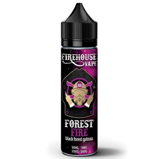 FIRE HOUSE FOREST FIRE