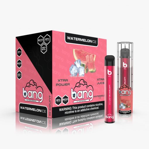 BANG DISPOSABLE DEVICE 600 PUFF