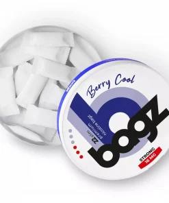 nicotine pouches bagz berry cool 16mg 1 BIN ESSA KUWAIT : مؤسسة بن عيسى