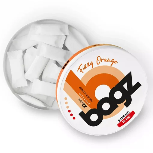 BAGZ FIZZY ORANGE - Image 2