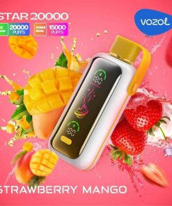 VOZOL Star 20000 Puffs Price in Dubai STRAWBERRY MANGO BIN ESSA KUWAIT : مؤسسة بن عيسى