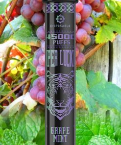 GRAPE MINT BIN ESSA KUWAIT : مؤسسة بن عيسى