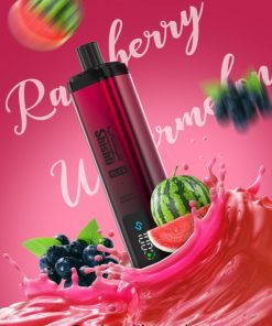 Shishti Plus 3MG Raspberry Watermelon 12K 600x816 1 BIN ESSA KUWAIT : مؤسسة بن عيسى
