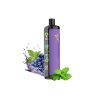 solobar dtl 25000 puff copy BIN ESSA KUWAIT : مؤسسة بن عيسى
