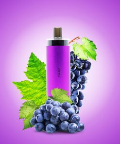 hookah dtl hopo grape BIN ESSA KUWAIT : مؤسسة بن عيسى