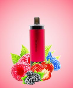 hookah dtl hopo mix beeries BIN ESSA KUWAIT : مؤسسة بن عيسى