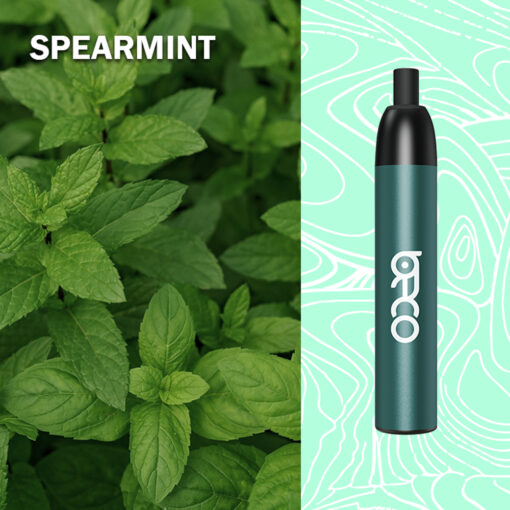 BECO MESH X 4500 PUFFS - 50 MG - Image 2